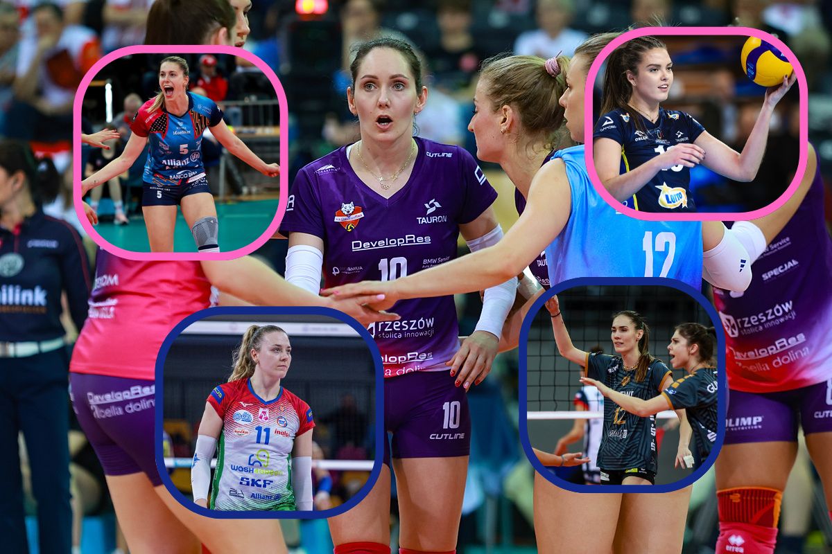 TAURON Liga. To one mogą stanowić o sile swoich drużyn! Zagraniczne wzmocnienia i polskie talenty