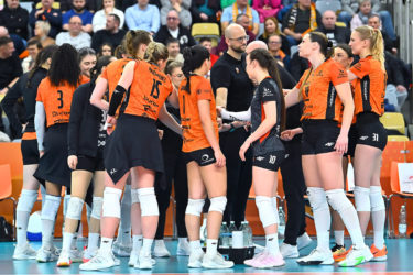 TAURON Liga. Gdzie i o której oglądać półfinał UNI Opole – PGE Budowlani Łódź?